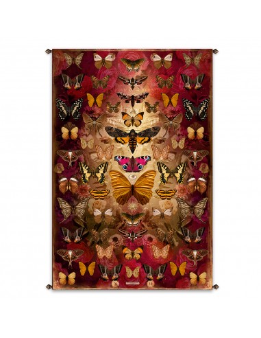 New hangings - "Viva la Vida